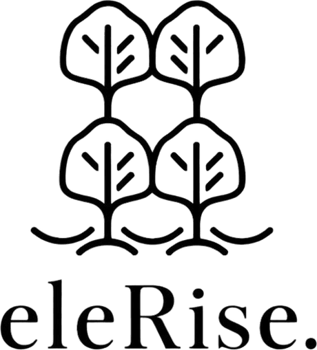 EleRise Clinics